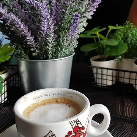 Apartamento Plaza Lux *