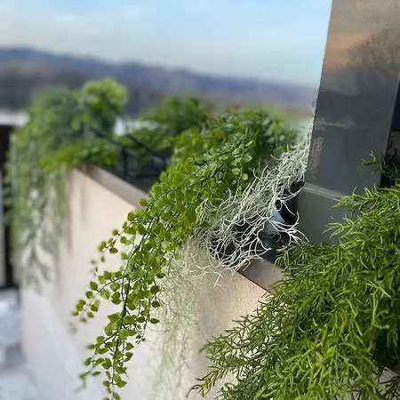 Plaza Lux Apartamento *